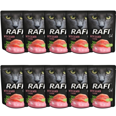 Dolina Noteci Rafi Cat Łosoś Saszetka 10x300g Dolina Noteci Rafi Cat Łosoś Saszetka 10x300g